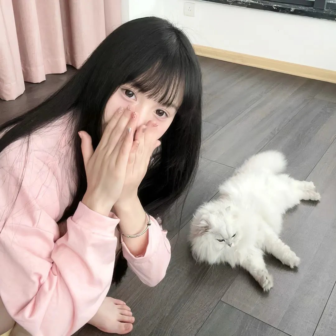 巨鲨之夺命鲨滩